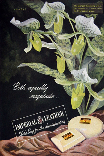 Imperial Leather Vintage Bar Soap Poster