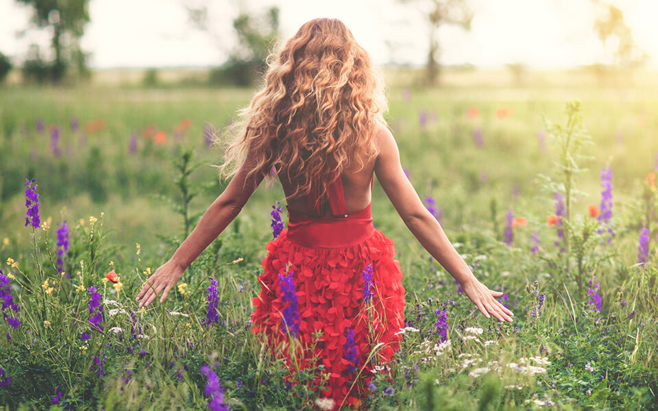 Girl in field of flowers Girl in field of flowers